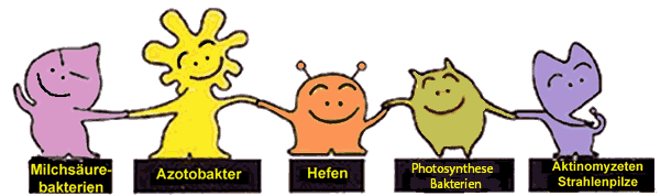 mikroorganismen